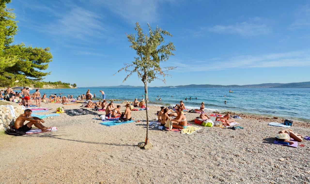 Apartman Olive Garden Zadar Exterior photo
